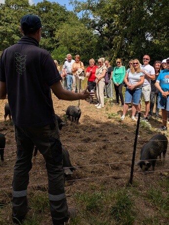 Weekly catch up with garden & propagation Weekly catch up with garden & propagation