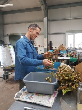 Weekly catch up with garden & propagation Weekly catch up with garden & propagation
