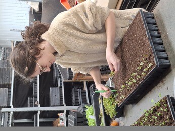 Weekly catch up with garden & propagation Weekly catch up with garden & propagation