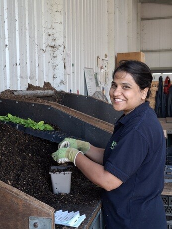Weekly catch up with garden and propagation Weekly catch up with garden and propagation
