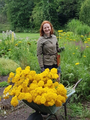 Weekly catch up with garden and propagation Weekly catch up with garden and propagation