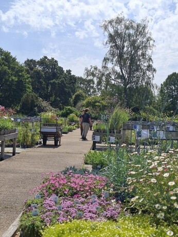 Weekly catch up with garden and propagation Weekly catch up with garden and propagation