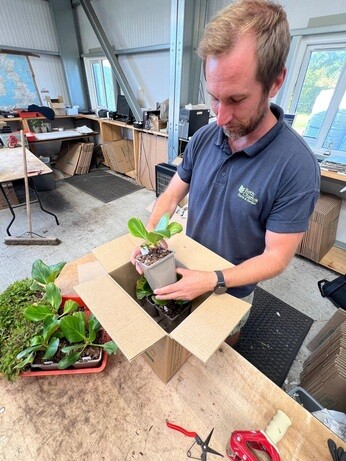 Weekly catch up with garden & propagation Weekly catch up with garden & propagation