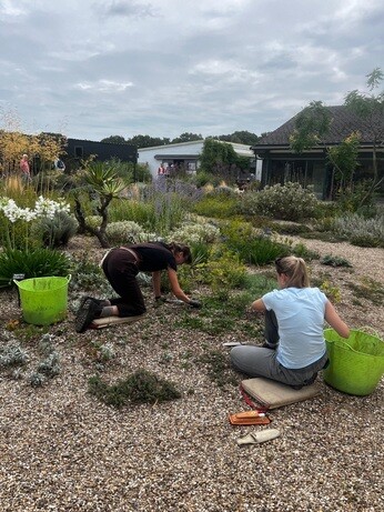Weekly catch up with garden & propagation Weekly catch up with garden & propagation