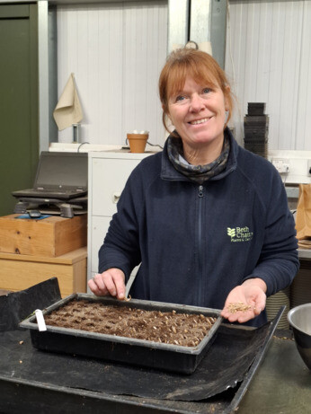 Weekly catch up with garden & propagation Weekly catch up with garden & propagation