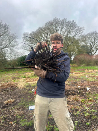 Weekly catch up with garden & propagation Weekly catch up with garden & propagation