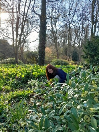Weekly catch up with gardens & propagation Weekly catch up with gardens & propagation