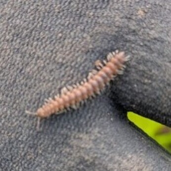Wild Words from the Ground – February & March Wild Words from the Ground – February & March