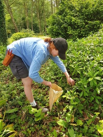 Weekly catch up with garden and propagation Weekly catch up with garden and propagation