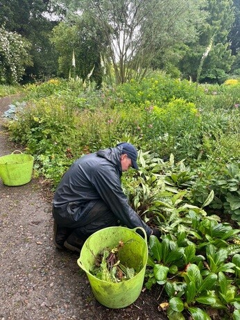 Weekly catch up with garden and propagation Weekly catch up with garden and propagation