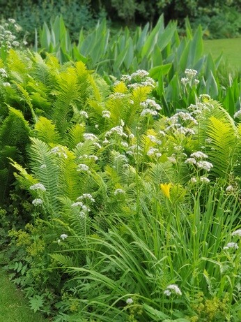 Weekly catch up with garden & propagation Weekly catch up with garden & propagation