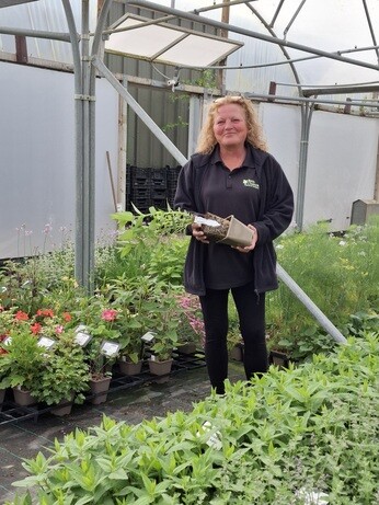 Weekly catch up with garden and propagation Weekly catch up with garden and propagation