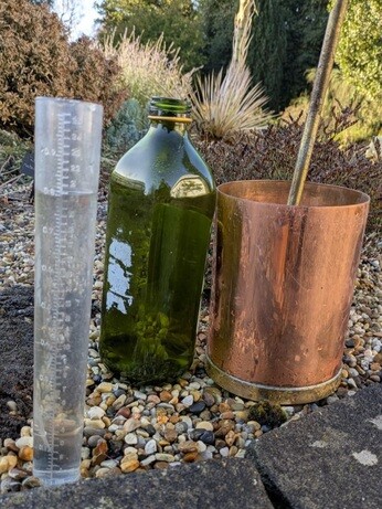 Weekly catch up with garden and propagation Weekly catch up with garden and propagation