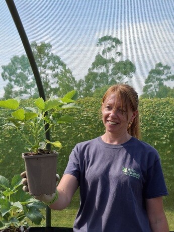 Weekly catch up with garden & propagation Weekly catch up with garden & propagation