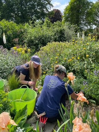 This week with the garden team- late May This week with the garden team- late May