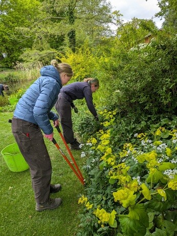 Weekly catch up with gardens & propagation Weekly catch up with gardens & propagation