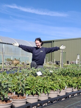 Weekly catch up with gardens & propagation Weekly catch up with gardens & propagation