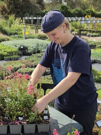 Weekly catch up with garden and propagation Weekly catch up with garden and propagation