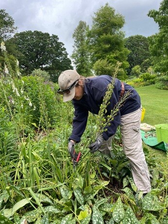 Weekly catch up with garden and propagation Weekly catch up with garden and propagation