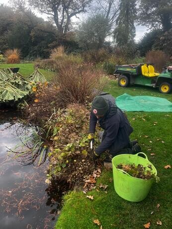 Weekly catch up with garden & propagation Weekly catch up with garden & propagation