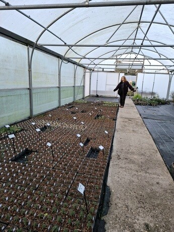 News from the garden and propagation News from the garden and propagation