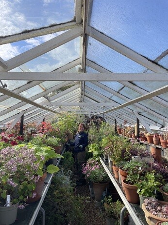 Weekly catch up with garden & propagation Weekly catch up with garden & propagation