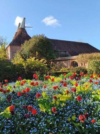 My year as a trainee at Beth Chatto's Plants & Gardens My year as a trainee at Beth Chatto's Plants & Gardens