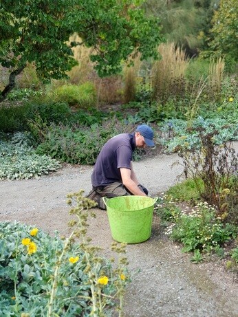 Weekly catch up with garden & propagation Weekly catch up with garden & propagation