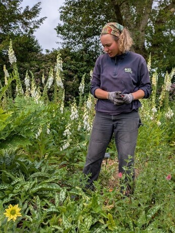 Weekly catch up with garden and propagation Weekly catch up with garden and propagation