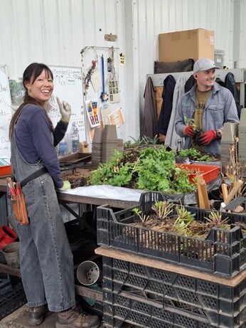 Weekly catch up with garden & propagation Weekly catch up with garden & propagation