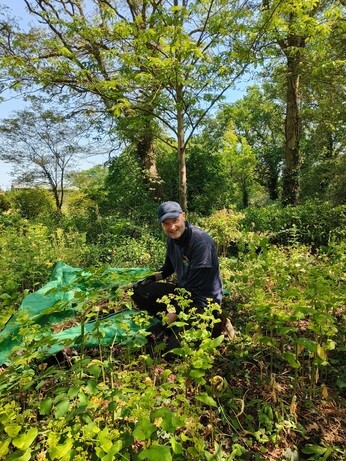 Weekly catch up with garden and propagation Weekly catch up with garden and propagation
