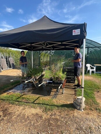 Weekly catch up with garden and propagation Weekly catch up with garden and propagation
