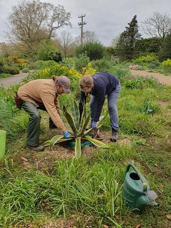 A look back at 2024 with the garden team A look back at 2024 with the garden team