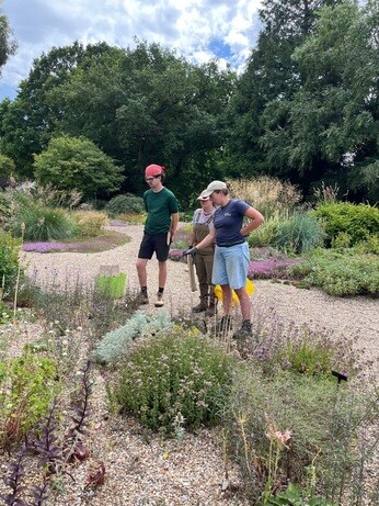 Weekly catch up with garden and propagation Weekly catch up with garden and propagation