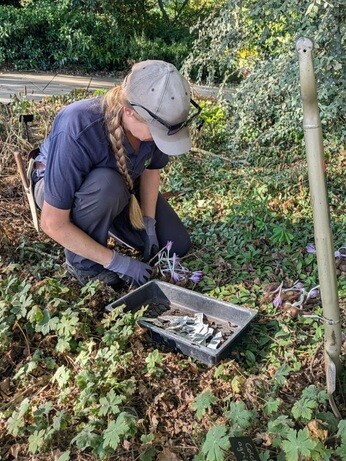 Weekly catch up with garden and propagation Weekly catch up with garden and propagation