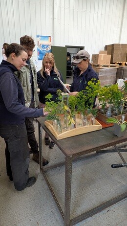 Weekly catch up with garden & propagation Weekly catch up with garden & propagation