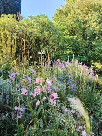 Weekly catch up with garden and propagation Weekly catch up with garden and propagation
