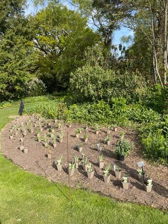 A Year in the Gardens-2022 A Year in the Gardens-2022