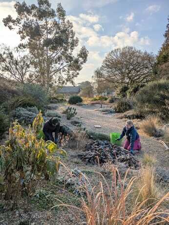 February news from the garden and propagation February news from the garden and propagation