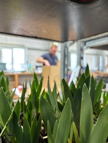 Weekly catch up with garden & propagation Weekly catch up with garden & propagation