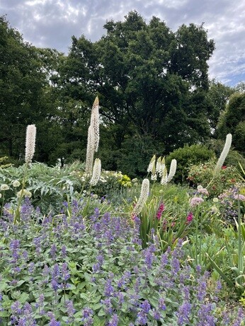 Weekly catch up with gardens & propagation Weekly catch up with gardens & propagation