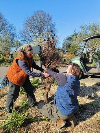 Weekly catch up with garden & propagation Weekly catch up with garden & propagation