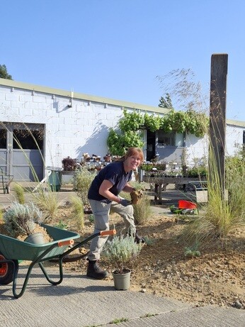 Weekly catch up with garden and propagation Weekly catch up with garden and propagation