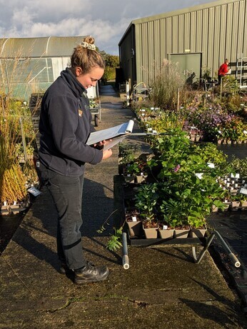 News from the garden and propagation News from the garden and propagation