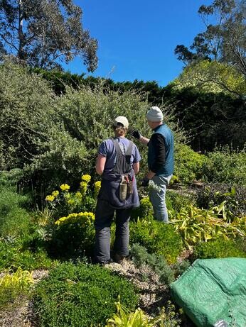 Weekly catch up with garden & propagation Weekly catch up with garden & propagation