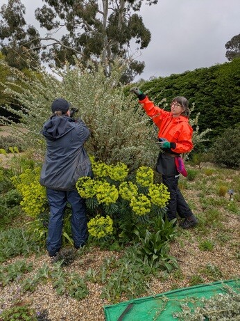 Weekly catch up with gardens & propagation Weekly catch up with gardens & propagation