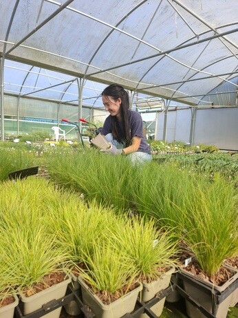 Weekly catch up with garden & propagation Weekly catch up with garden & propagation