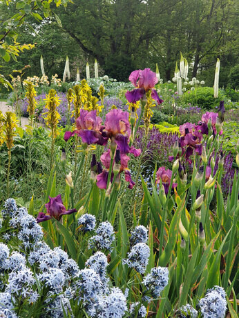 Garden connections – planting at Benton End Garden connections – planting at Benton End