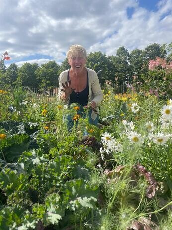 Carol Klein's Iconic Horticultural Hero garden at Hampton Court Carol Klein's Iconic Horticultural Hero garden at Hampton Court