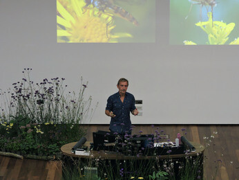 The Beth Chatto Symposium- 'Rewilding the Mind' The Beth Chatto Symposium- 'Rewilding the Mind'
